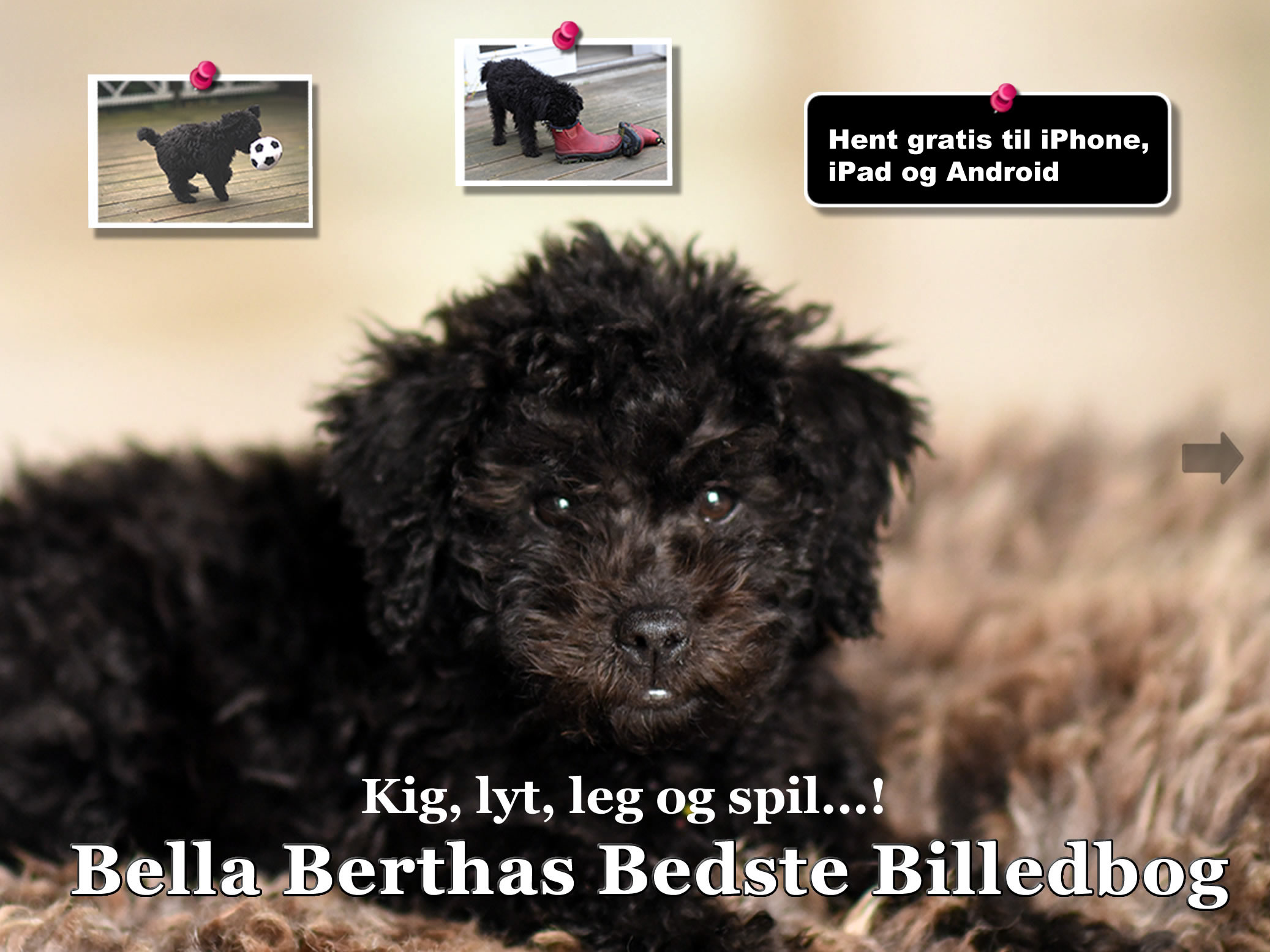 Bella Berthas Bedste Billedbog